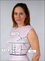 Gingham Fitting