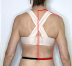 Trace Seams